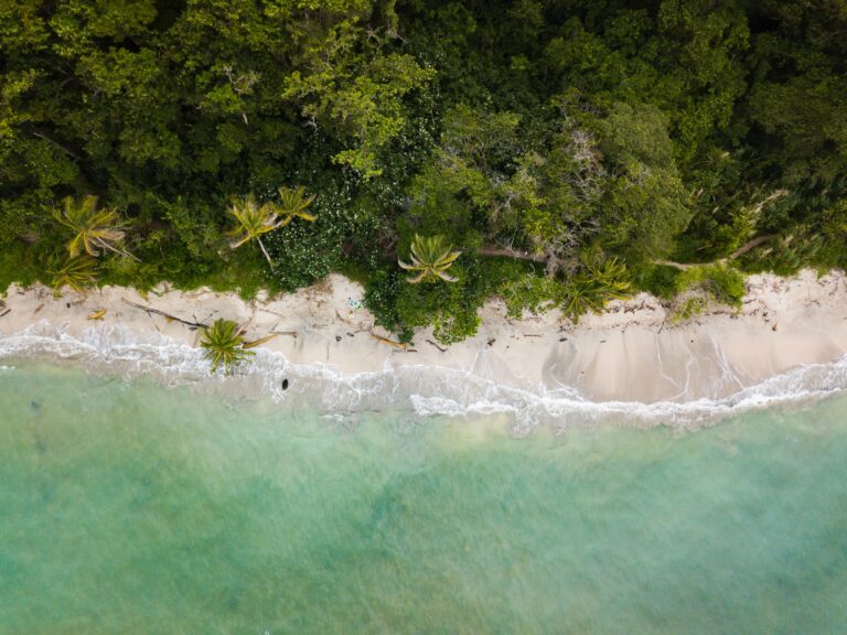 Which Caribbean Island Fits You Best? (Part 1)